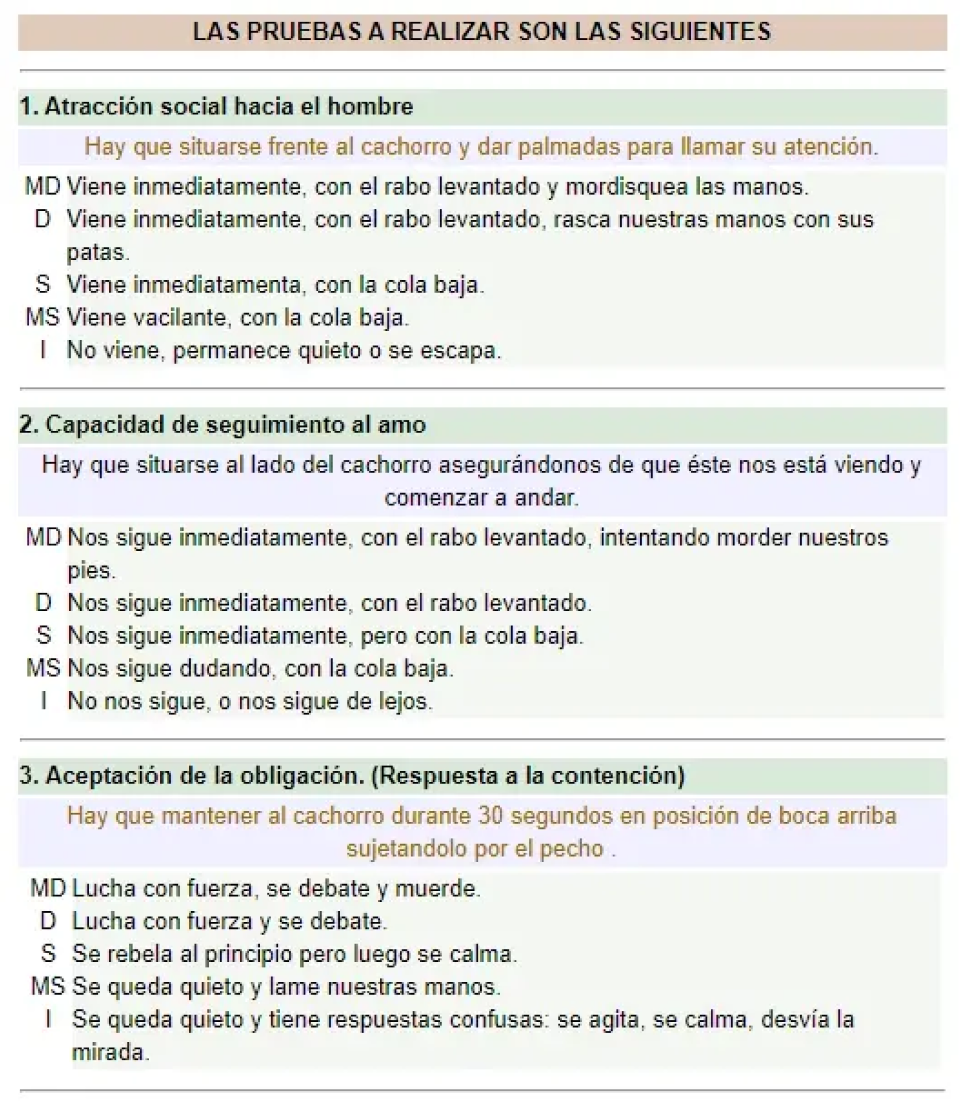 pruebas del test