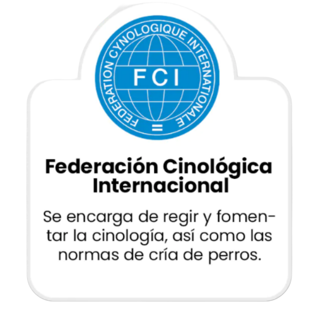 insignia de la FCI