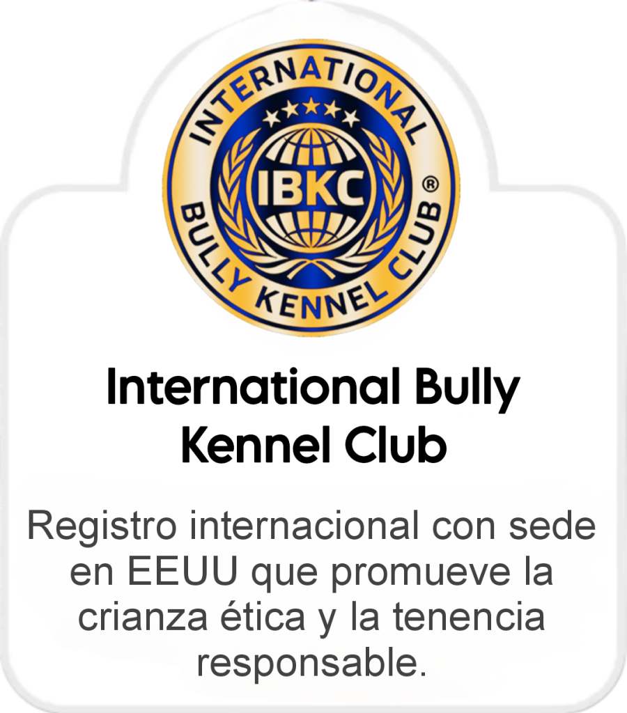 insignia de IBKC