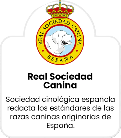 insignia de la RSCE